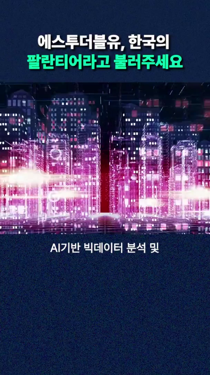 한국의 팔란티어, 에스투더블유