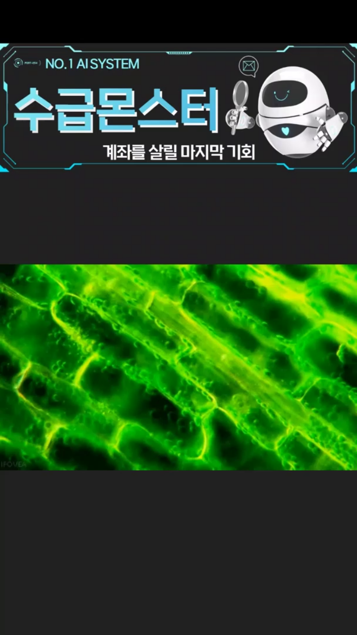 바이오 조정 시작?